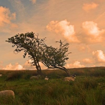 博鱼电竞下载手机版