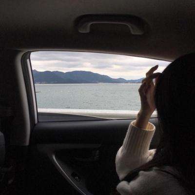 bob体体育app下载截图